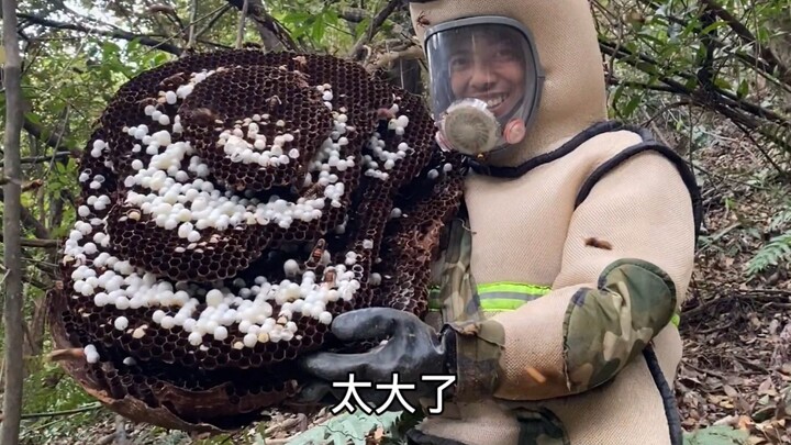 An old man was stung while collecting Ganoderma lucidum. Ziwei asked for information and took his eq