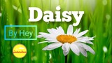 Daisy - Hey