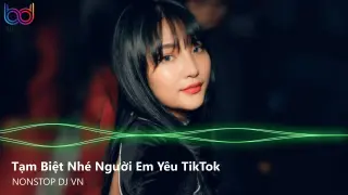 Tạm Biệt Nhé Người Em Yêu Remix - Hỡi Thế Gian Kiếp Tương Phùng Remix| Nonstop Việt Mix