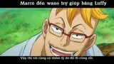Marco đến trợ giúp Luffy tại Wano #anime