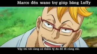 Marco đến trợ giúp Luffy tại Wano #anime