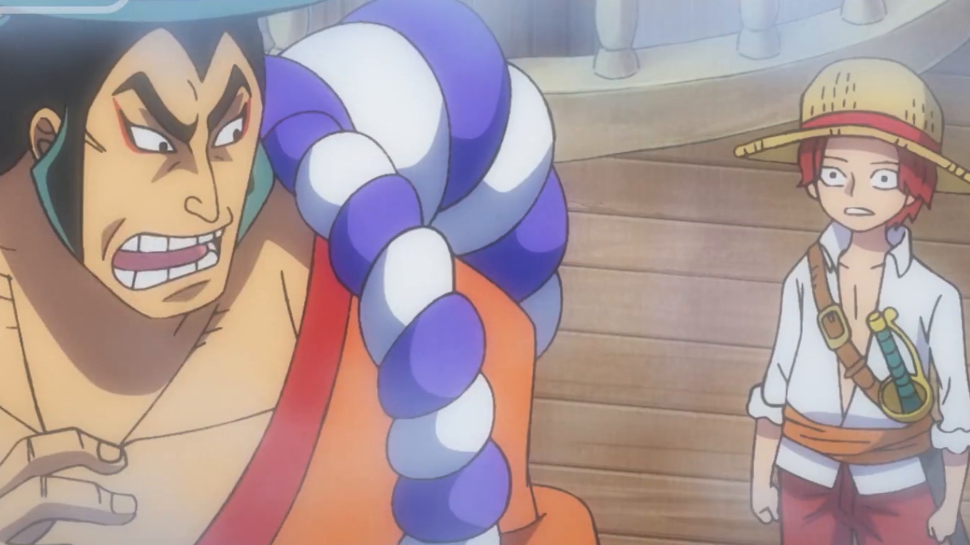 One Piece Commentary Of Vivre Card One Piece Visual Dictionary Bilibili