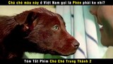 [Review Phim] Chú Chó Bị Bỏ Rơi Đi Tìm Chủ Rồi Hoá Kiếp Trong Vô Vọng | Netflix