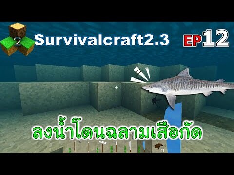 ลงน้ำโดนฉลามเสือกัด Survivalcraft 2.3 ep.12 [พี่อู๊ด JUB TV]