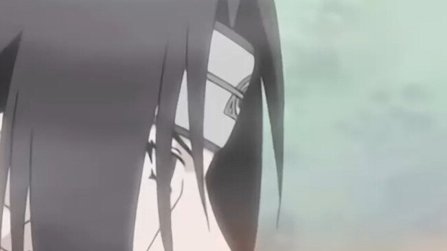 Taking stock of the rings of each Akatsuki member, why is Konan a white tiger?