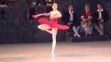 [Ballet] The Whip and Turn Collection of Russian Fairies (Bowa, Kwa, T Sister)