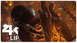 Kay Is Chased By A Xenomorph Scene | ALIEN ROMULUS (NEW 2024) Movie CLIP 4K