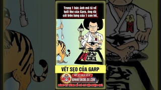 Vết sẹo của Garp có từ đâu? - One Piece #shorts #onepiece #luffy