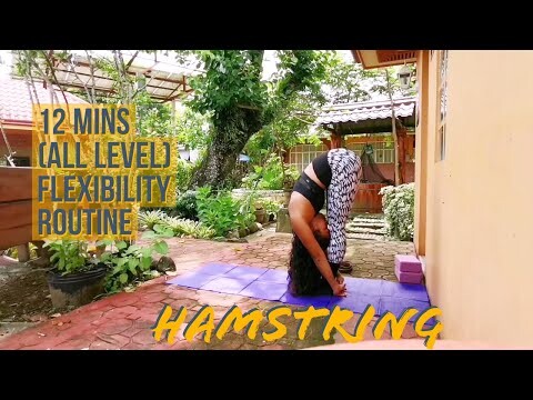 12mins Hamstring Flexibility Routine FOLLOW ALONG (FOR ANY LEVEL)