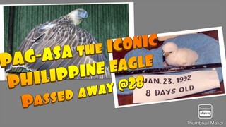 Pag- Asa The ICONIC PHILIPPINE EaGle passed away After 28 yrs