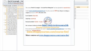 [Course24h.com] David Cavanagh – Cut And Paste Blueprint