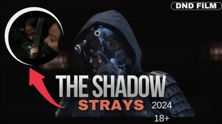 THE SHADOW STRAYS (2024)