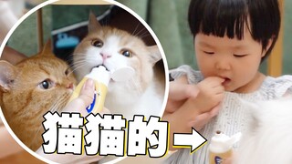 当小猫咪第一次见到人类幼崽…