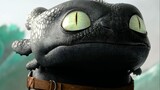 Toothless cub challenges the tenth level Dragon King! The only way to become a king