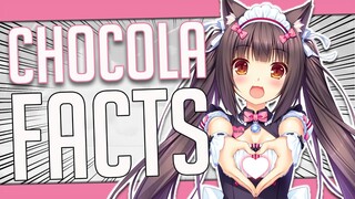 5 Facts About Chocola - Nekopara