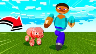 เมื่อโลกมายคราฟกลายเป็นวงกลม.. เกมมายคราฟจะไม่เหลี่ยมอีกต่อไป!! 😱 (Minecraft Mod)