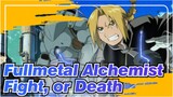 [Fullmetal Alchemist/AMV] Fight, or Death