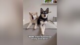 ad Skye’s voice 😂!! Head to   https://bit.ly/36hfTOP to check out the services available to you and get 10% off with code KLEEKAI Fiverr ihiredfiverr
