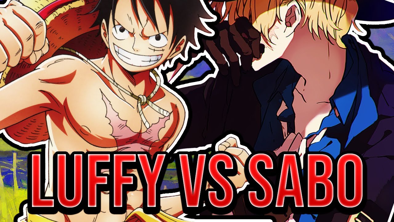 Luffy Vs Sabo Who Is Stronger One Piece 9 Bilibili
