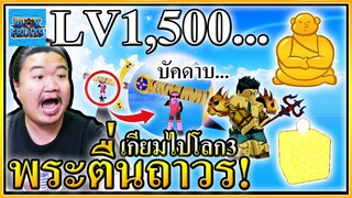 กดผลพระถาวรเวลให้ถึง LV1500 | Blox Fruits Roblox 👨‍🦲