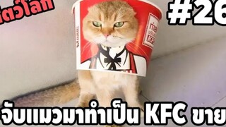 รวมคลิปตลกๆ : เมื่อไก่ขาดแคลน…เราก็ต้องกิน!!??