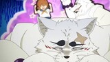 Bộ lông của "Silver Fox" Gintaro chắc hẳn rất dễ chịu khi chạm vào phải không?