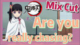 [Demon Slayer]  Mix Cut | Are you really chasing?