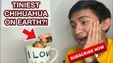 TINIEST DOG IN THE WORLD | SUPER MARCOS VLOGS