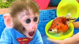 Monkey Baby Bon Bon open Surprise eggs contain ducklings, koi fish and swims with puppy at the pool