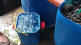 DIY water pump