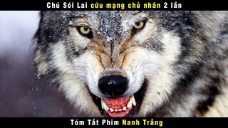 [Review Phim] Chú Sói Lai 2 Lần Cứu Chủ Và Tìm Ra Thấy Mỏ Vàng | Netflix