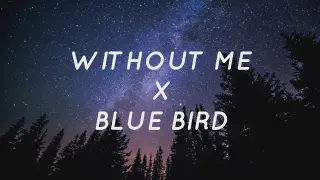 Without Me X Blue Bird - Eminem X Ikimonogakari (Lyrics) | Tiktok Song