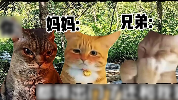 "Cat Meme Little Theater" Khi bạn có một người mẹ vô cùng xinh đẹp và nhỏ nhắn!