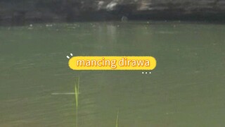 mancing rawa