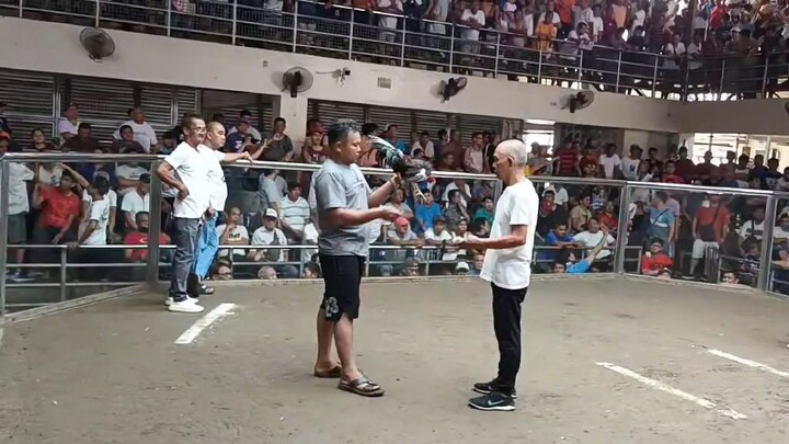 sabonglifewin