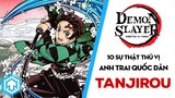 TANJIROU - 10 Sự Thật Thú Vị Về Anh Trai Quốc Dân | Kimetsu no Yaiba | Ten Anime
