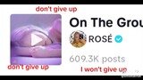 don't give up rose