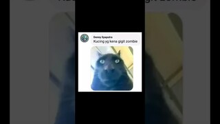 Momen Ketika Ada Zombie Ditempat Tinggalmu (meme) || RikoNation