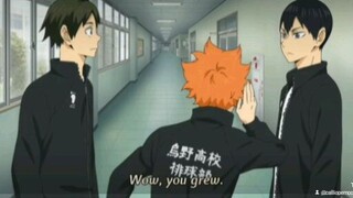 Height