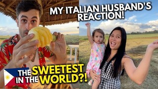 My Italian Husband Tries The Sweetest Pineapple in The World! 🇵🇭 Philippines