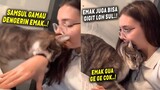 ASLI NGAKAK BANGET..! Kucing Sok Keras Gigit Emak, Digigit Balik Langsung Kena Mental ~ Kucing Lucu