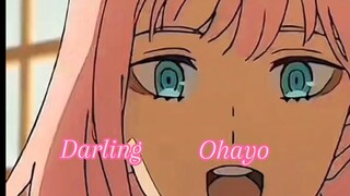 -Darling ohayo😁![AMV DARLING IN THE FRANX]!