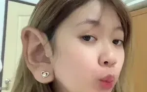 ดัมโบ้1