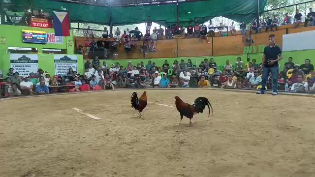 first fight win