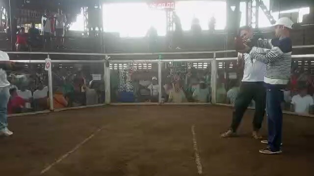 3/3wins