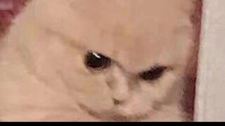 (Wangxian Yunshi (Orthopedics)) I Want to Be a Villain 3