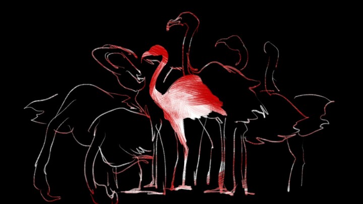[Tulisan tangan yang dilukis waktu] flamingo Luo Xia Shenghe