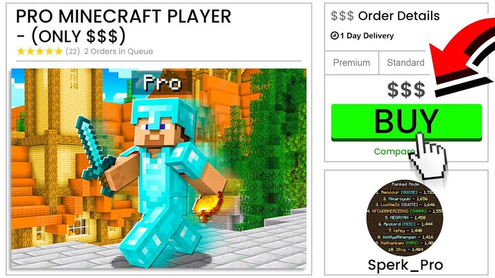 I HIRED A PRO MINECRAFT PLAYER FOR $20...