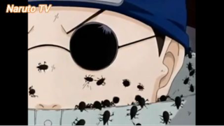 Naruto Dattebayo (Short Ep 40) - Shino x Zaku: Con bọ #naruto