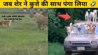 Top 3 - Funny animals fight🤣 || जानवरो की लडाई || Wait for end  #shorts #youtubeshorts